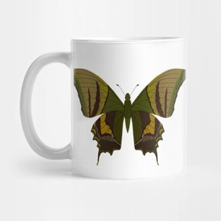 beautiful butterfly Mug